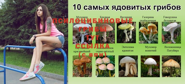 амфетамин Богданович